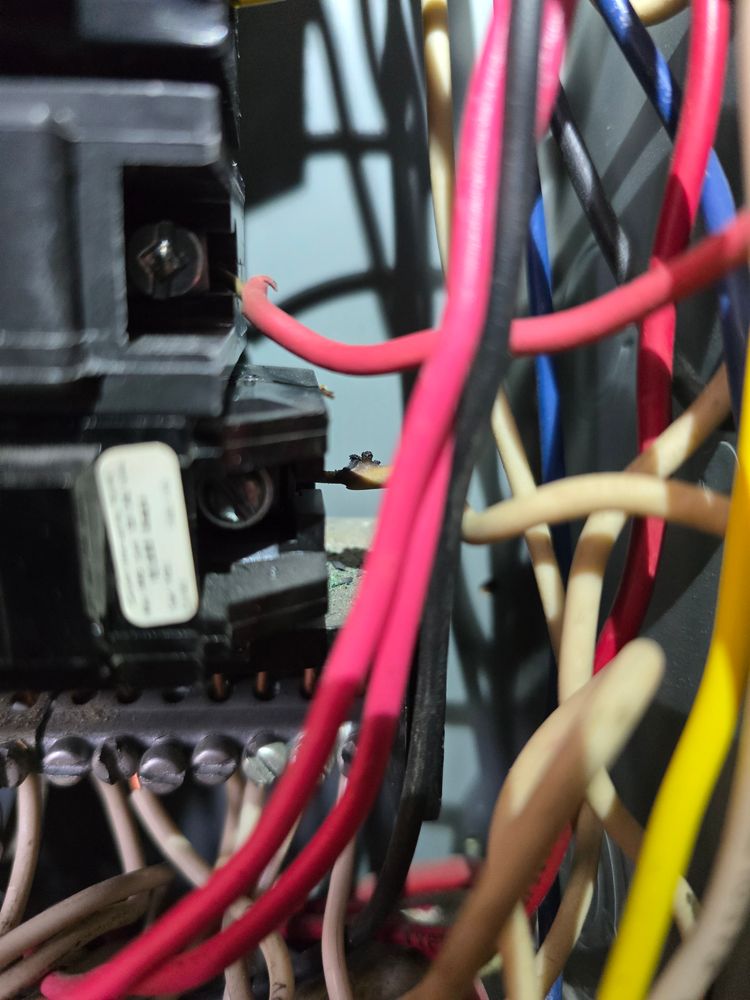 All Photos for Grunt Electric in Bensenville, IL