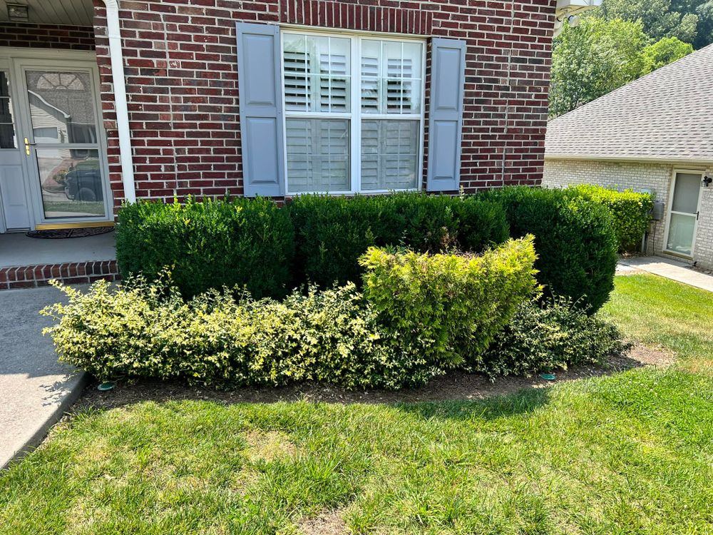 All Photos for TJ’s Landscaping in Knoxville, TN