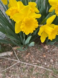 All Photos for Evolution Landscaping and Construction  in Charlestown, RI