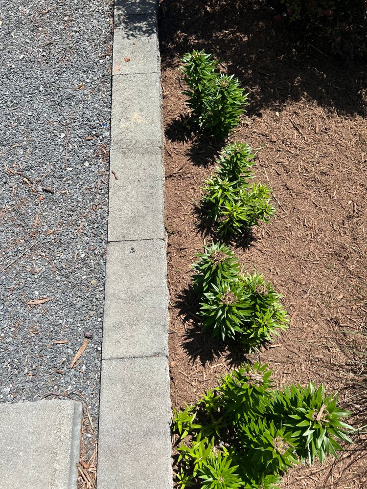 All Photos for Oakhurst Landscaping and Tree Service in Charlotte, NC