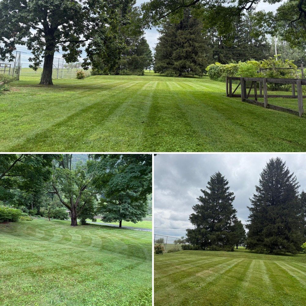 Lawn Maintenance for LJ Lawn & Property Maintenance, Inc. in Cold Spring, New York