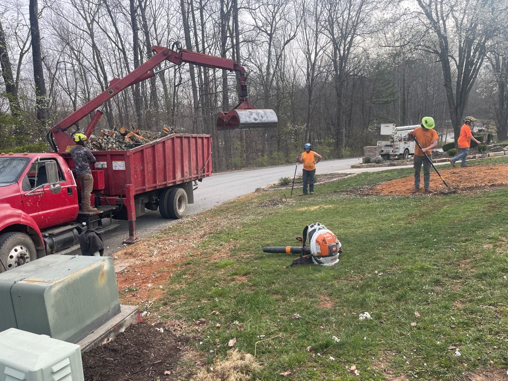 All Photos for Lucky’s Tree Removal and Landscape Services in Knoxville, TN