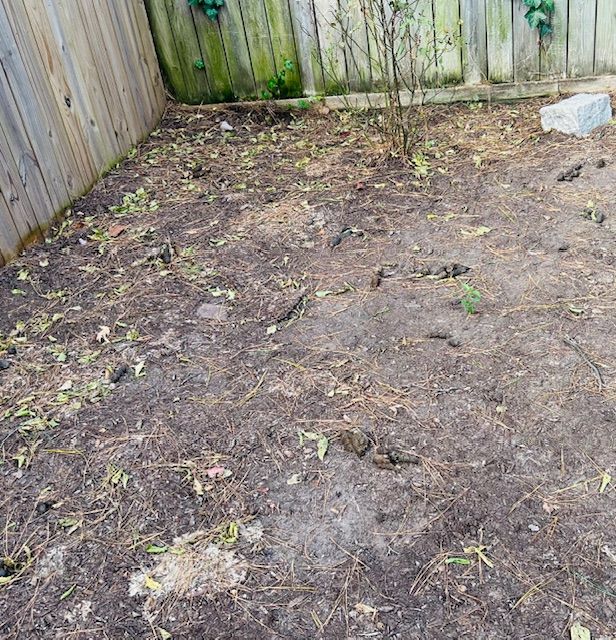 All Photos for River City Scoopers in Midlothian, VA