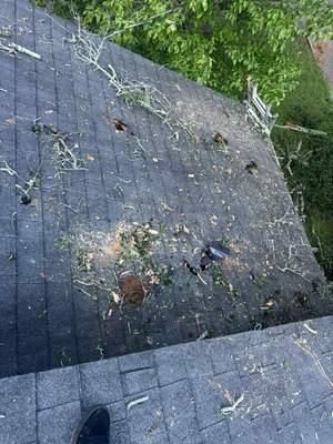 All Photos for Bulldawg Disaster Response in Atlanta, GA