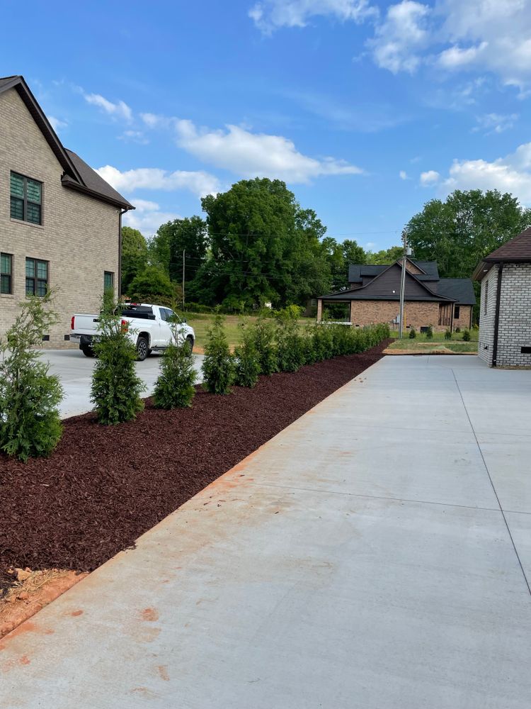 Landscaping for DLS Landscaping in Charlotte, NC