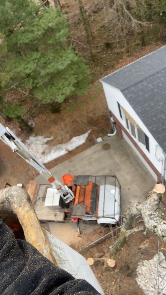 All Photos for Dwights Tree Service in Middleborough, MA