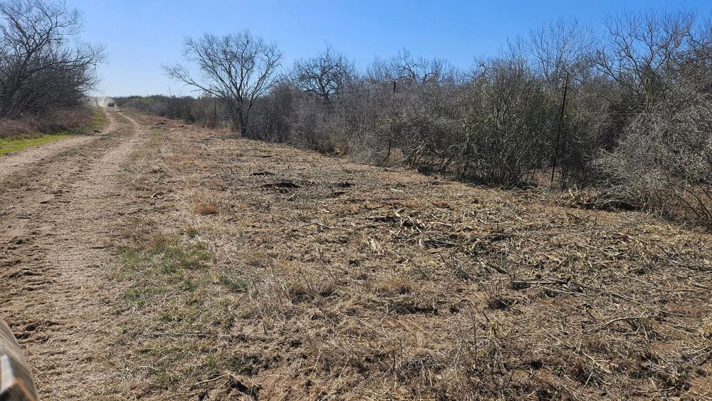 Land Clearing for Hernandez Land Clearing Services in Alice, TX
