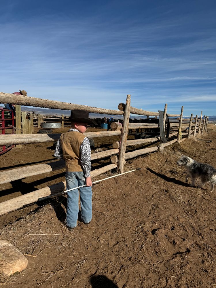 All Photos for Burton Fencing in Parowan, UT