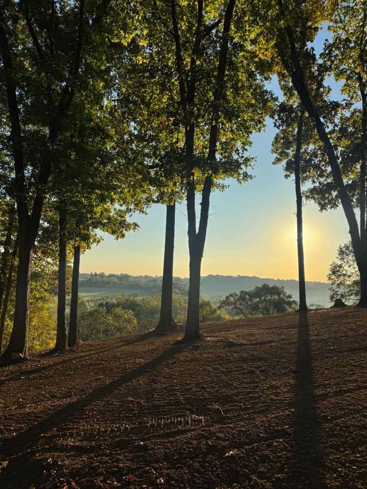All Photos for DIRT PLUS LLC in Bowling Green, KY