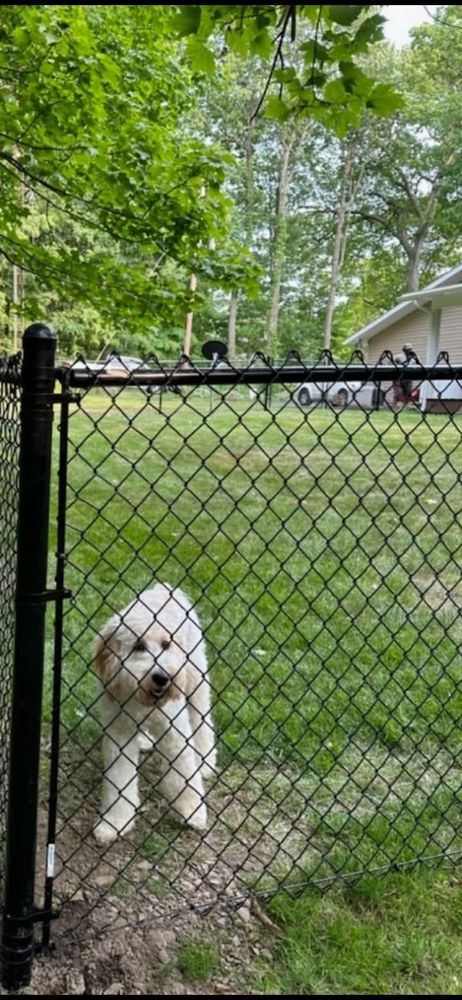 All Photos for Backyard Fence Solutions LLC in Uniontown, PA