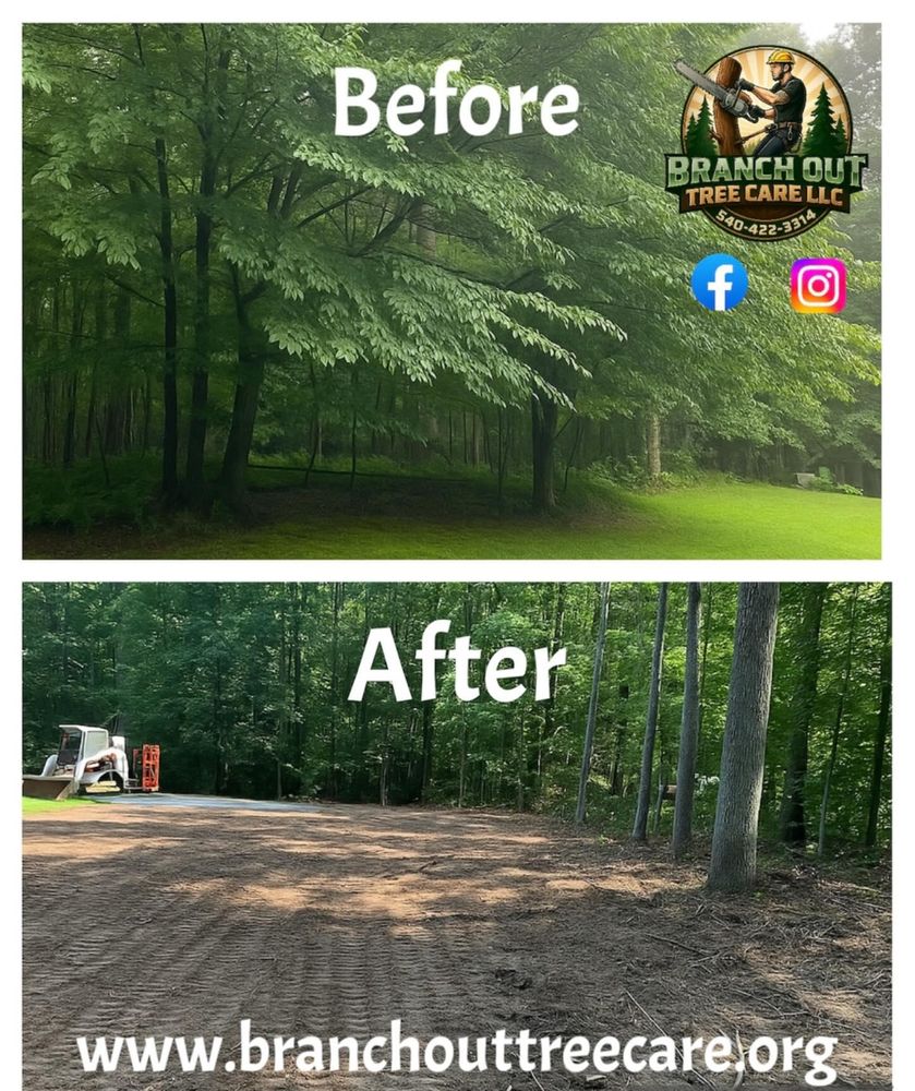 All Photos for Branch Out Tree Care LLC in Fredericksburg, VA