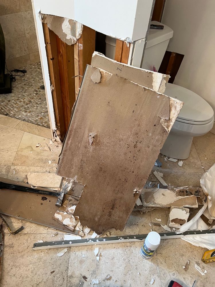 Mold Remediation for N&D Restoration Services When Disaster Attacks, We Come In in Cape Coral,  FL