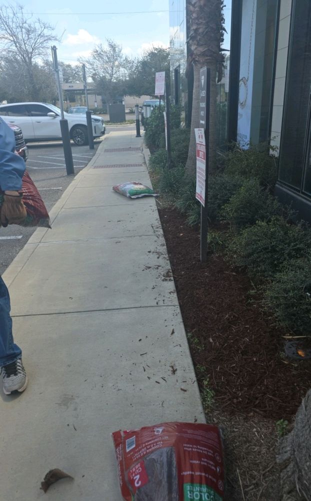 All Photos for Pro Lawn Care RGV in McAllen, TX