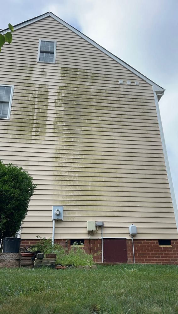 All Photos for LeafTide Solutions in Richmond, VA