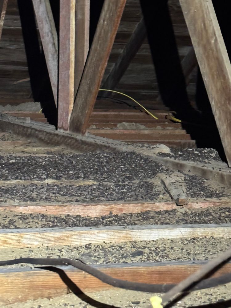 Crawlspace/Attic Renovation  for All-In Pest Control & Home Solutions in Greene County, IN