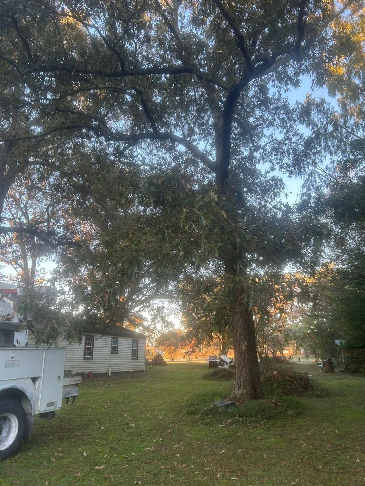 All Photos for McBee’s Tree Service in Sewanee, TN