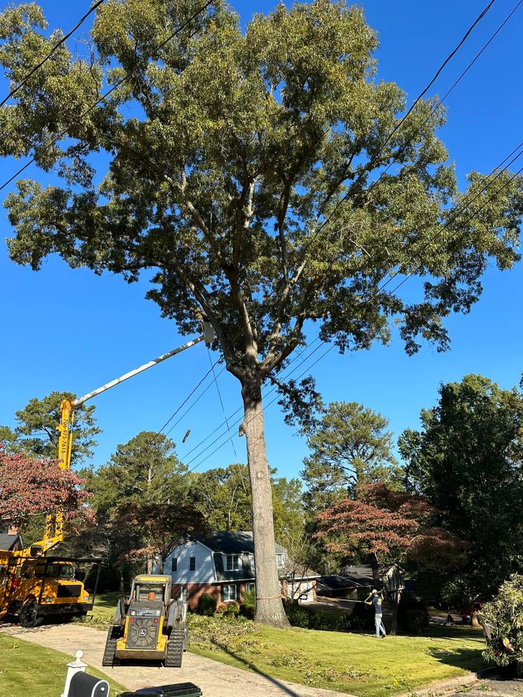 All Photos for ArborMax in Thomaston, GA