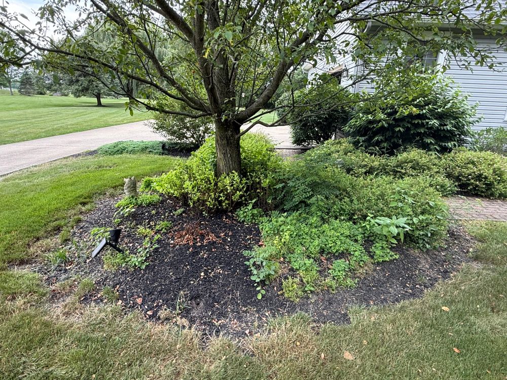 All Photos for F&R Landscapes LLC in Lagrange, OH