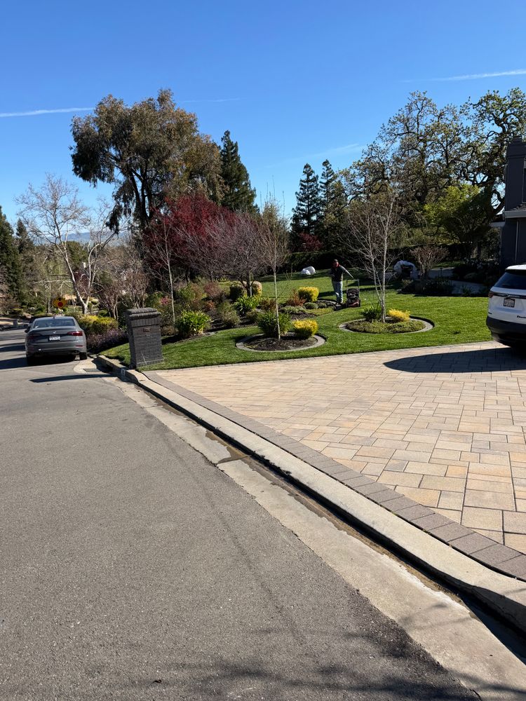 All Photos for CBA Landscaping in Hayward, CA