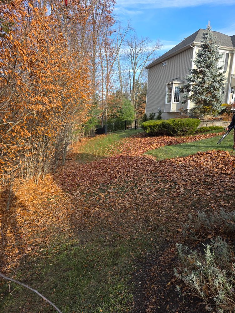 Our fall and spring clean up service ensures your yard stays pristine year-round, efficiently removing debris, trimming plants, and preparing your landscape for the changing seasons to enhance curb appeal. for Sweet Scapes in Ballston Spa, NY