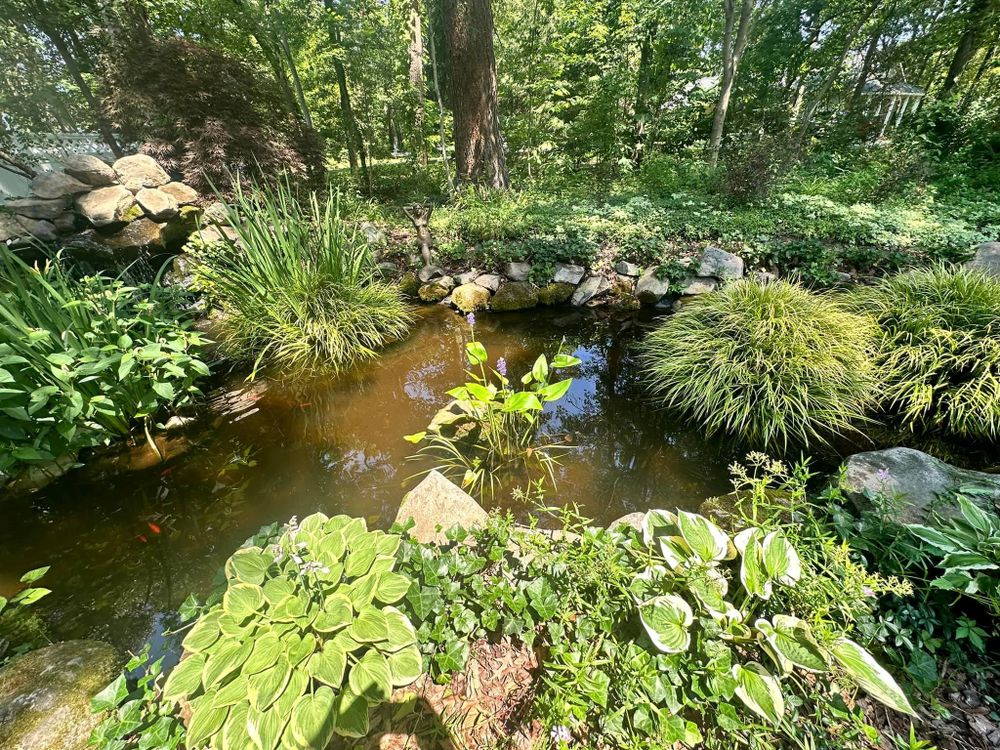 All Photos for Matteo Hardscapes in Towson,  MD