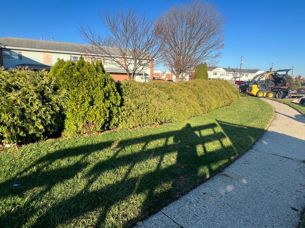 All Photos for Mark’s Mowing & Landscaping LLC  in Ashville, OH