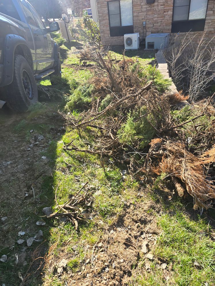 All Photos for LRS: Landscape, Rescue, Snow in Silt, CO