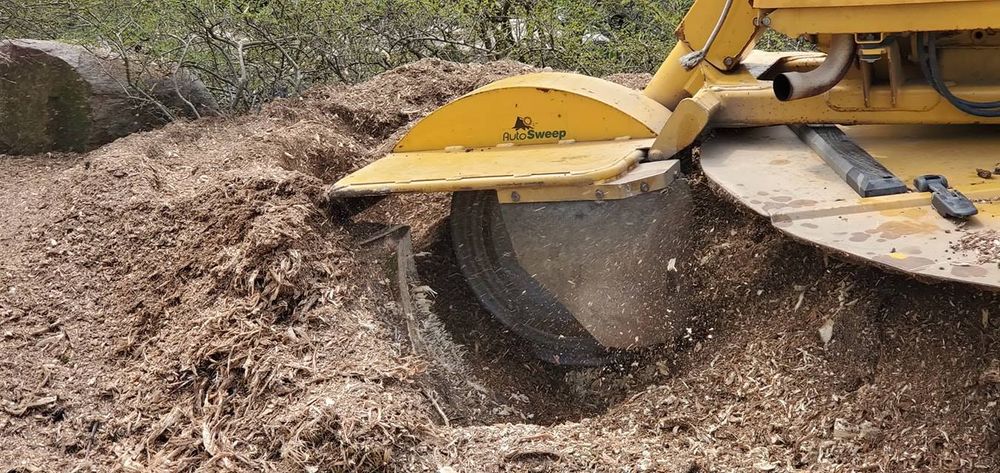 Stump Grinding & Removal for F & F Tree Service in Beavercreek, OH