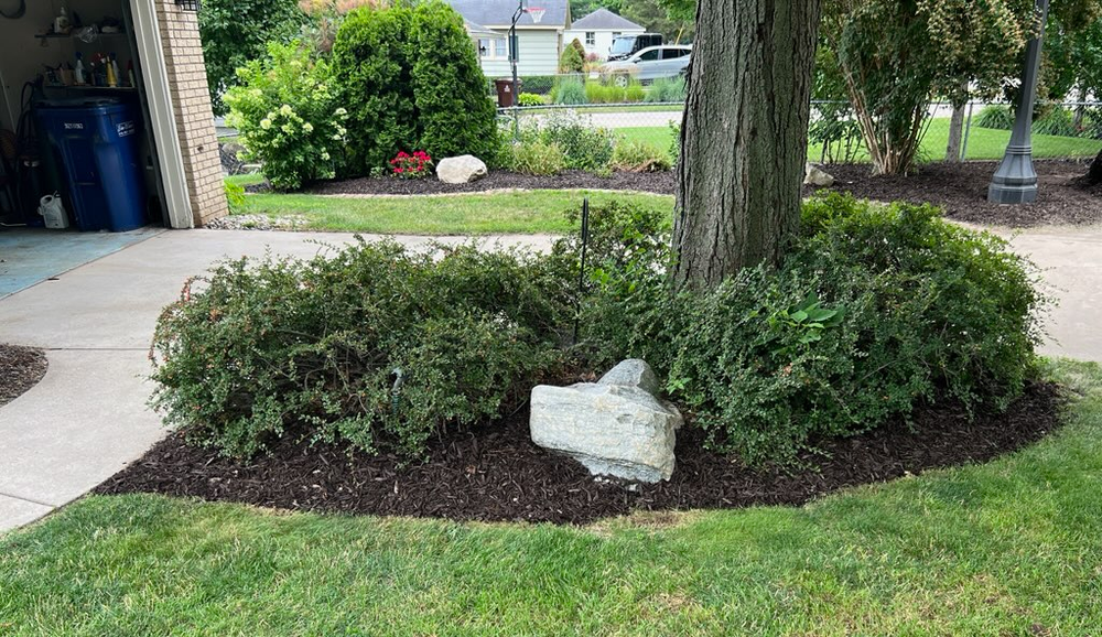 All Photos for Phillips Lawn Services in Ravenna, MI