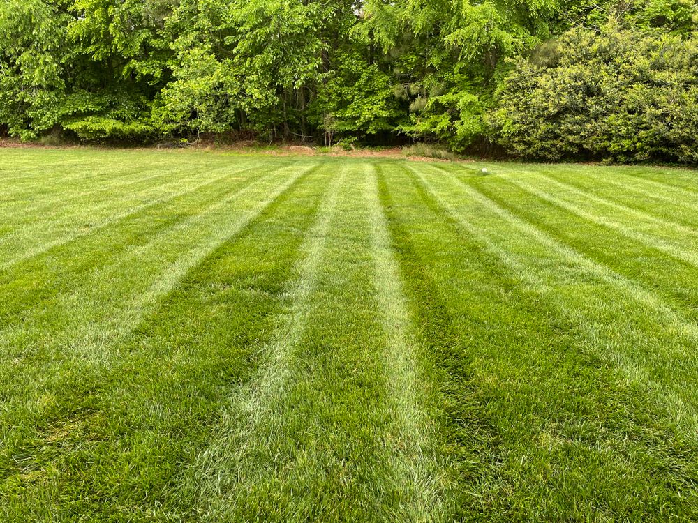 All Photos for Chavez Landscaping in Pittsboro, NC