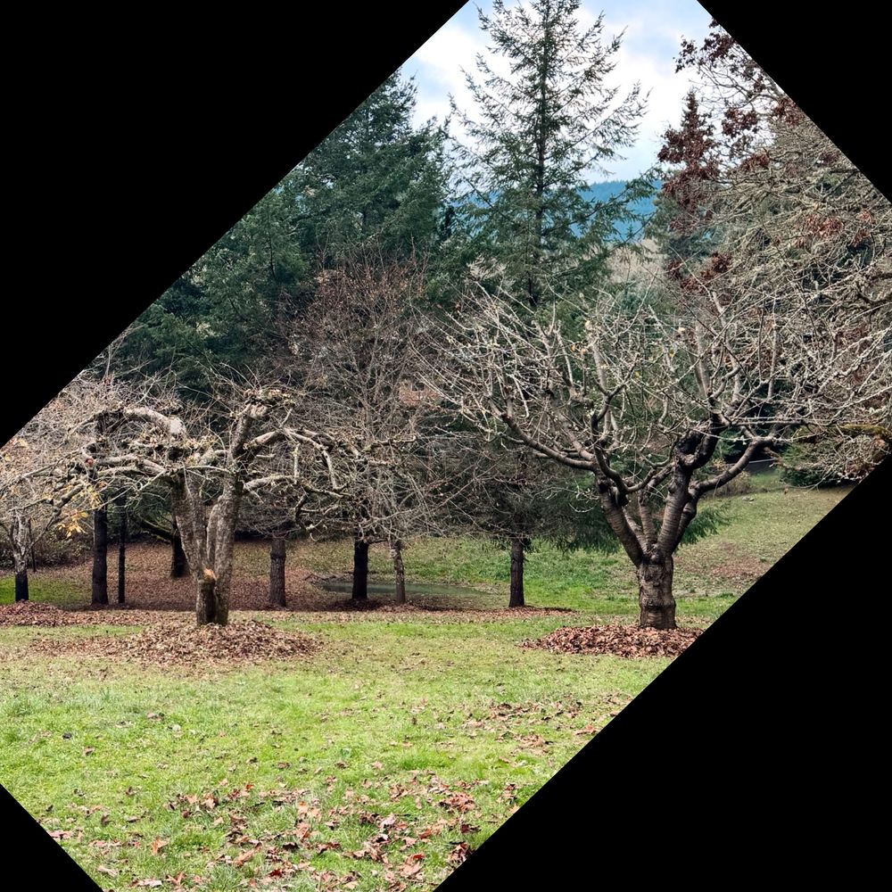 All Photos for Handy Hands Landscape in Corvallis, OR