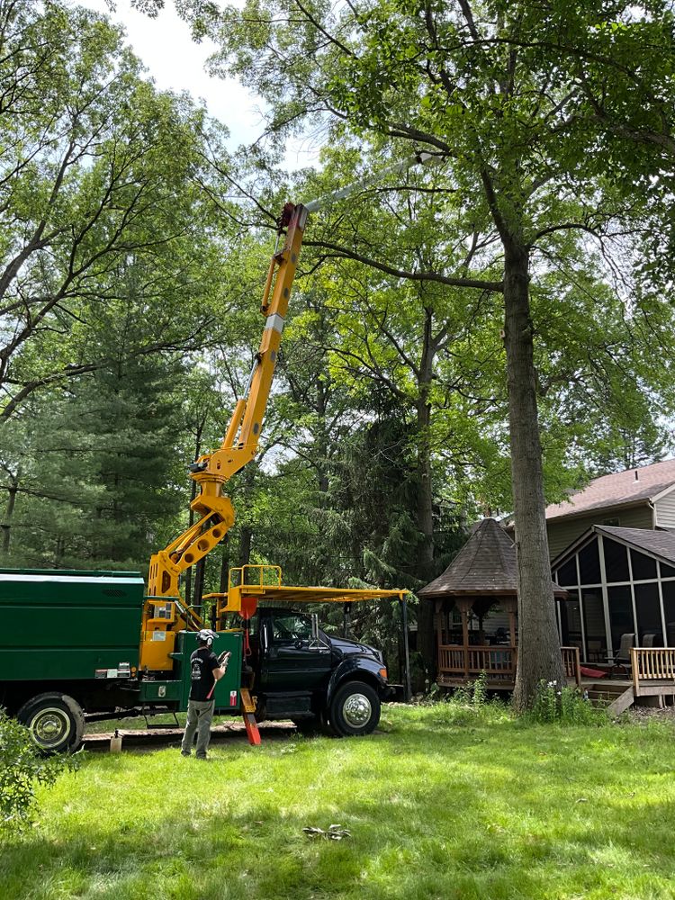 Tree Removal for Down To Earth Tree Service, LLC in Olmsted Falls, OH