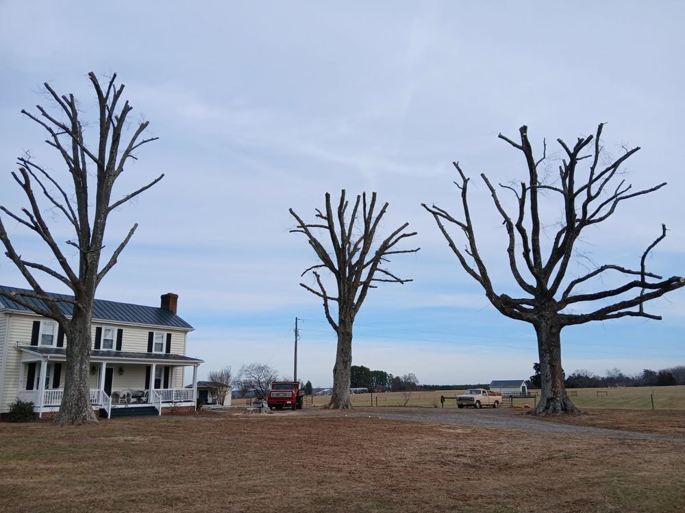 All Photos for Whiskey Ridge Mulching & Land Services in South Boston, VA