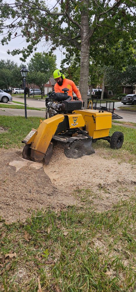 All Photos for Servin's Tree Care  in Houston, TX