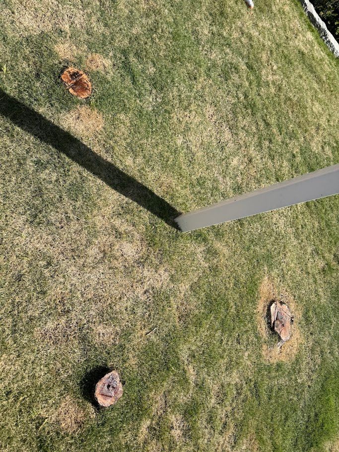 All Photos for Deeply Rooted Lawns – Hydroseeding & Sod Installation Services in Winder, GA