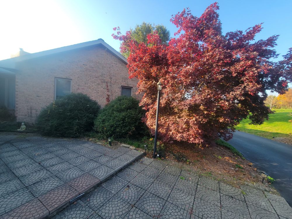 All Photos for Down Home Landscaping in Stillwater, PA