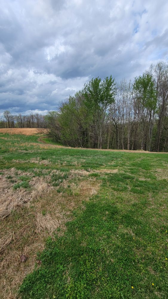 Land Clearing for Z's Land Management & Forestry Mulching in Smithville, TN