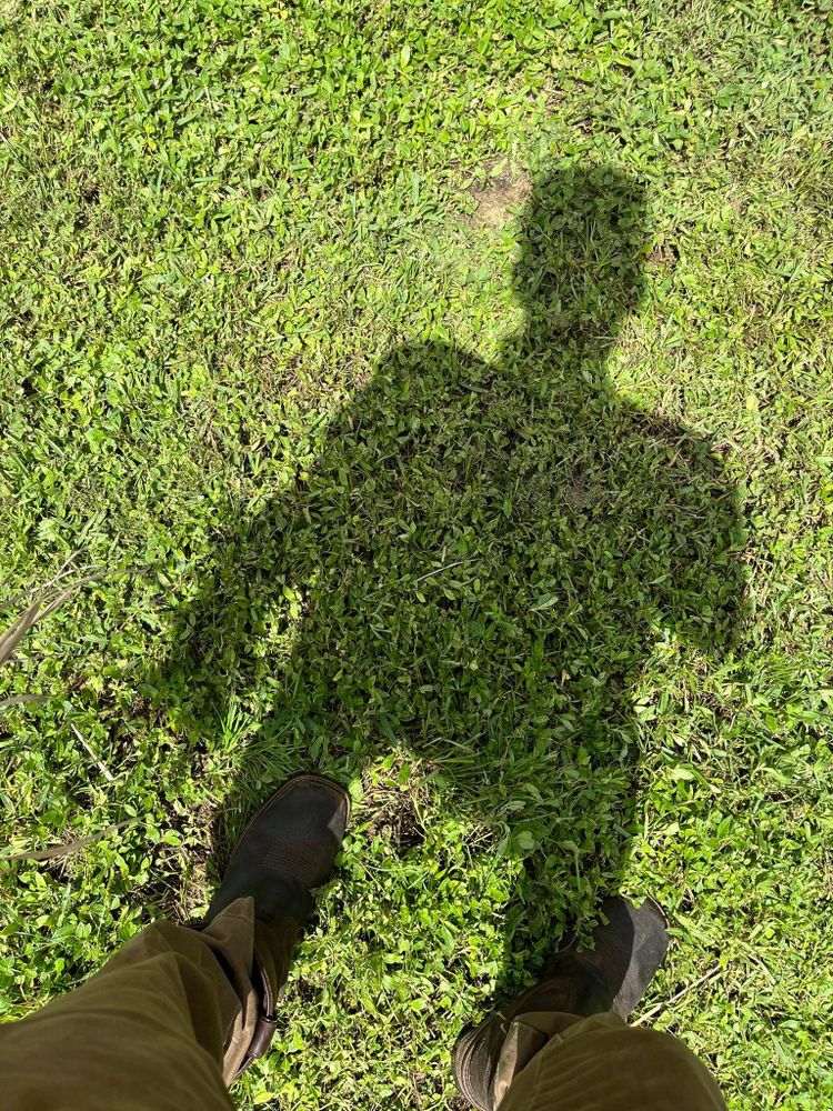 All Photos for Bills Tree Service in Valrico, FL