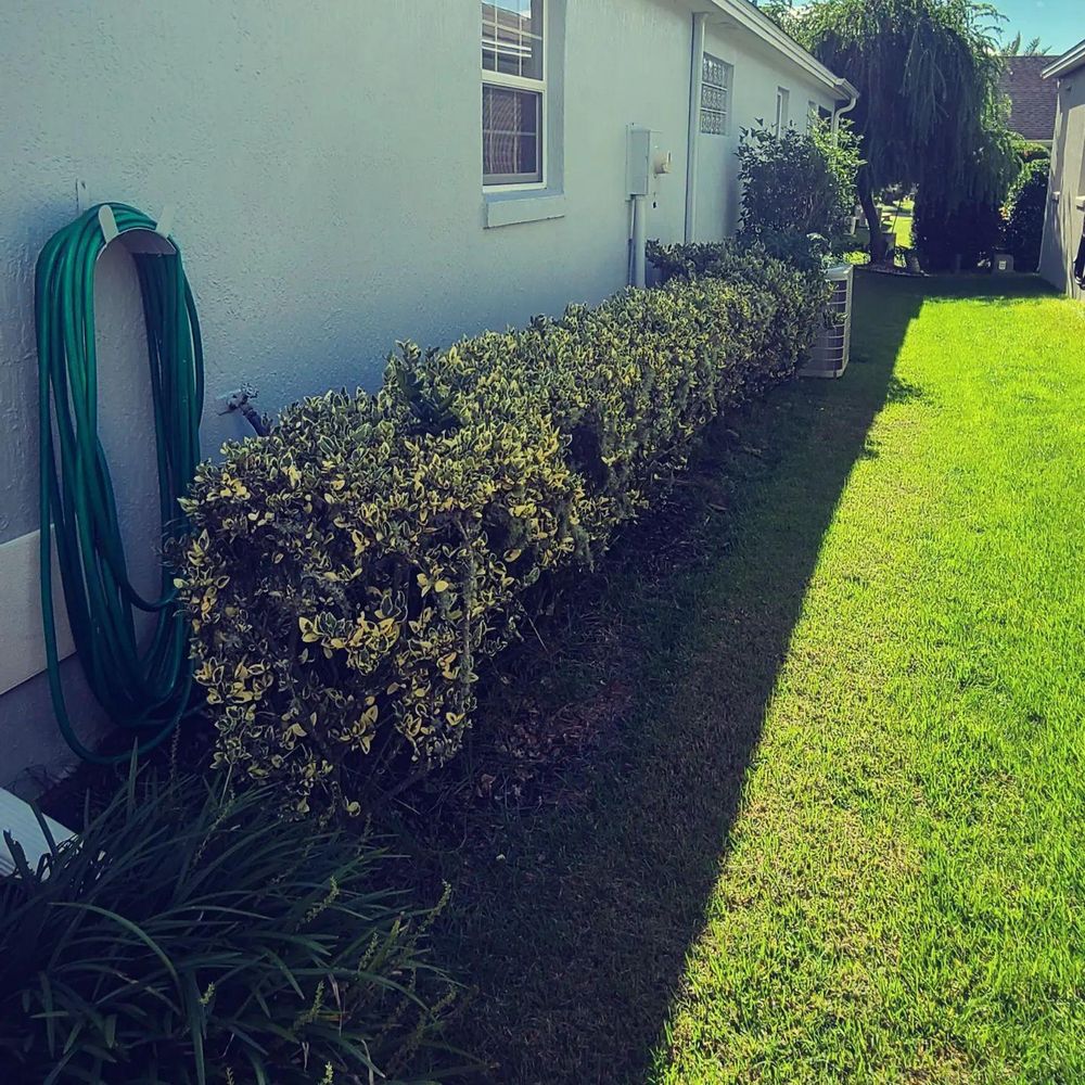 All Photos for TopNotch Landscaping Services  in The Villages, FL