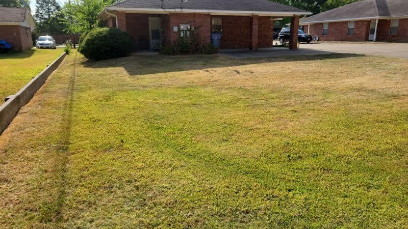 Lawn Care for JBC Mowing in Cedar Creek Lake, Texas