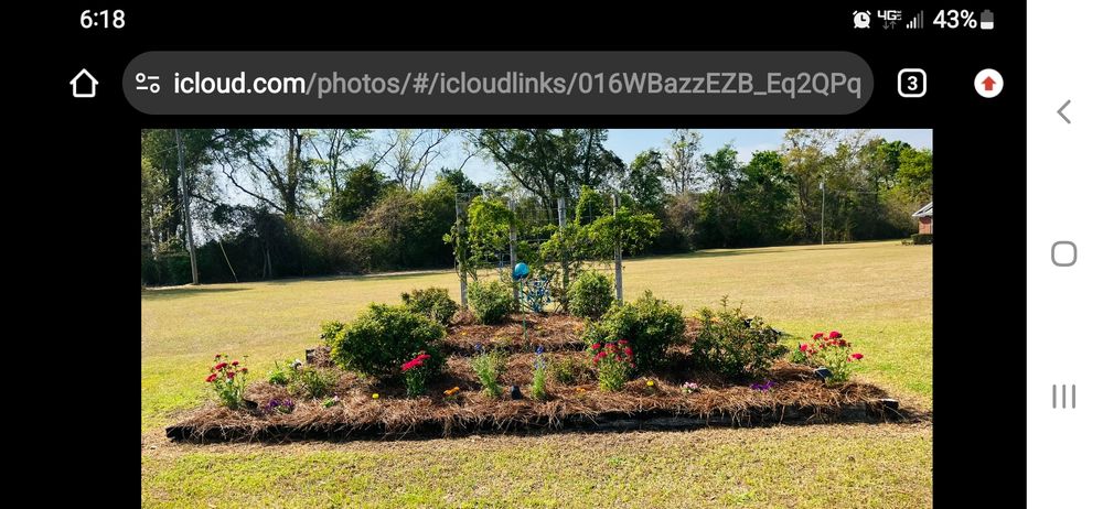All Photos for Landrum’s Lawn & Tractor Services in Blountstown, FL