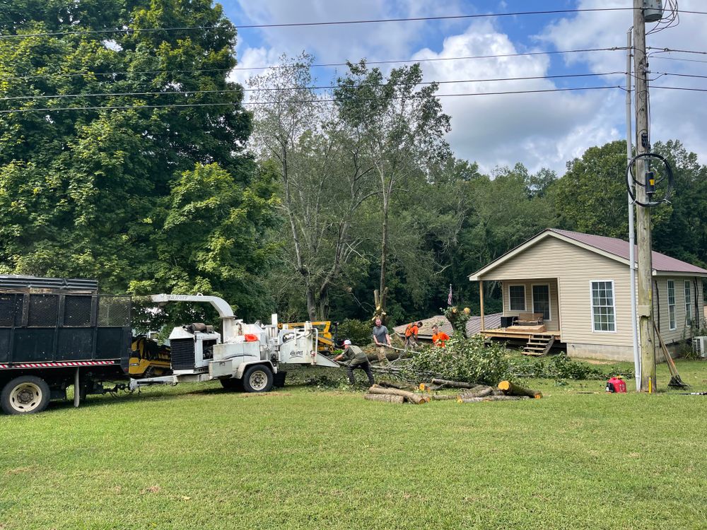 All Photos for Ross Family Tree Service LLC  in Hohenwald, TN