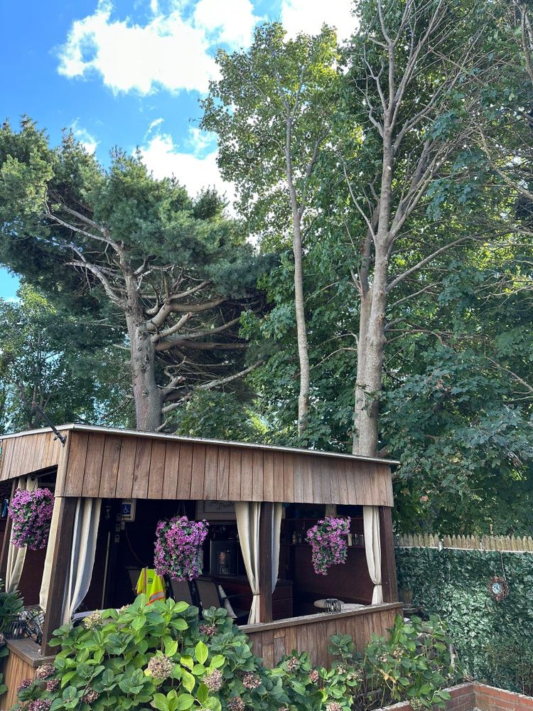 All Photos for Silver City Tree and Landscape in Taunton, MA