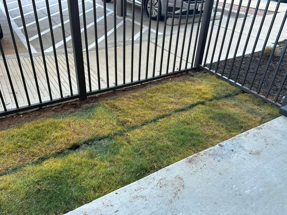 Lawn Care for Rj’s Enchanted Gardens and Fencing LLC in Irving, TX