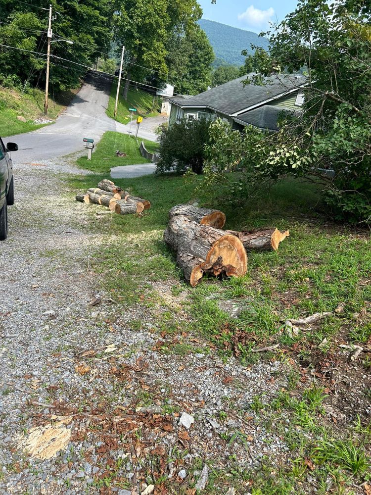 All Photos for NRV Tree Pro, LLC in Narrows, VA