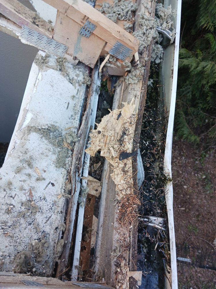 All Photos for Home Pros in Maple Falls, WA