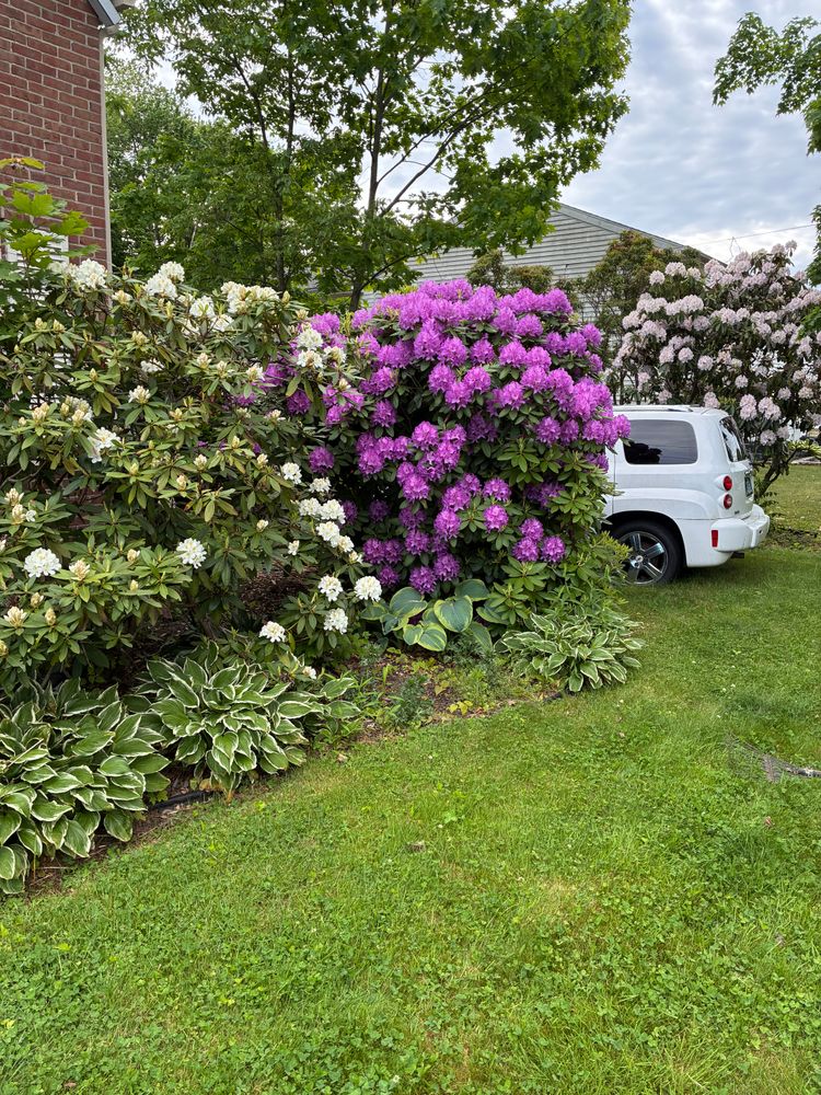 All Photos for JAD Excavating LLC in Goshen, CT