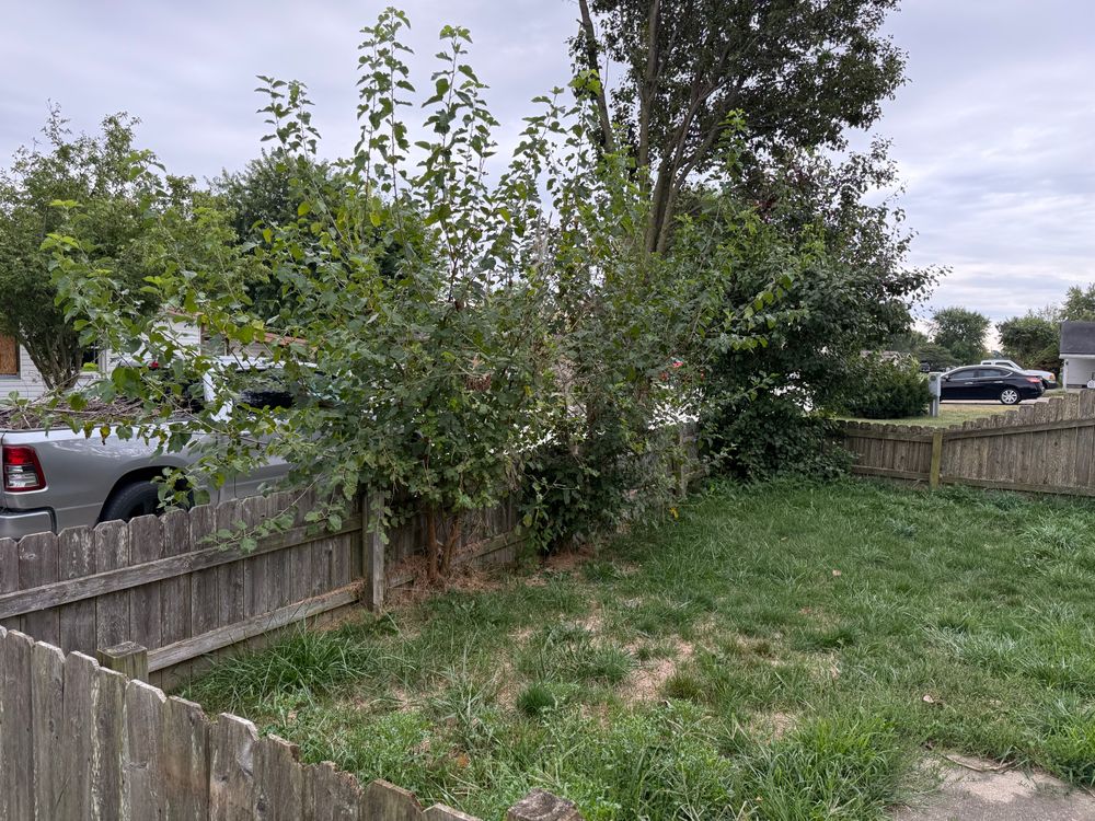 All Photos for Bearforce Lawn Care LLC in Greenfield, IN