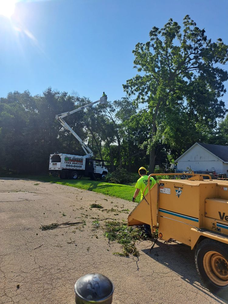 Tree Removal for Olson Tree Service, Inc in Winnebago County, IL