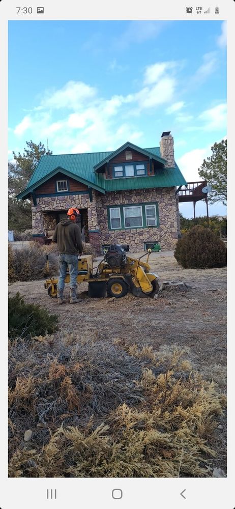 Our Stump Removal service safely and efficiently eliminates unsightly stumps, enhancing your landscape's appearance while preventing pest infestations and potential hazards, all with minimal disruption to your yard. for SMH Tree Service in Atwood, KS